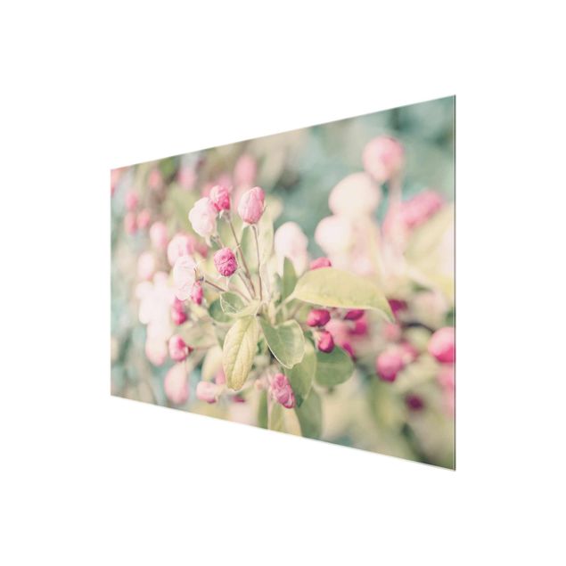 Glass print - Apple Blossom Bokeh Light Pink