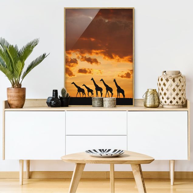Framed poster - Five Giraffes