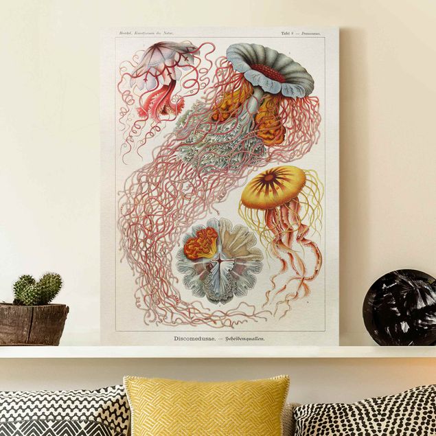 Print on canvas - Vintage Board Jellyfish