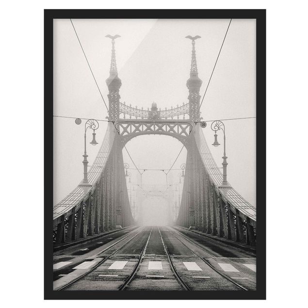 Framed poster - Bridge in Budapest