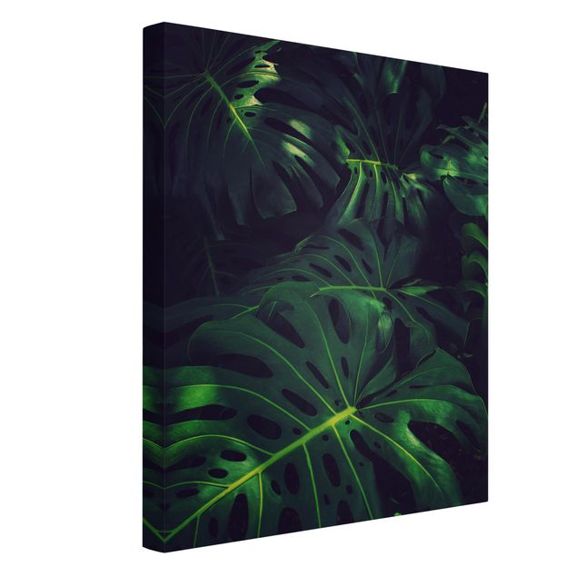 Canvas print - Monstera Jungle