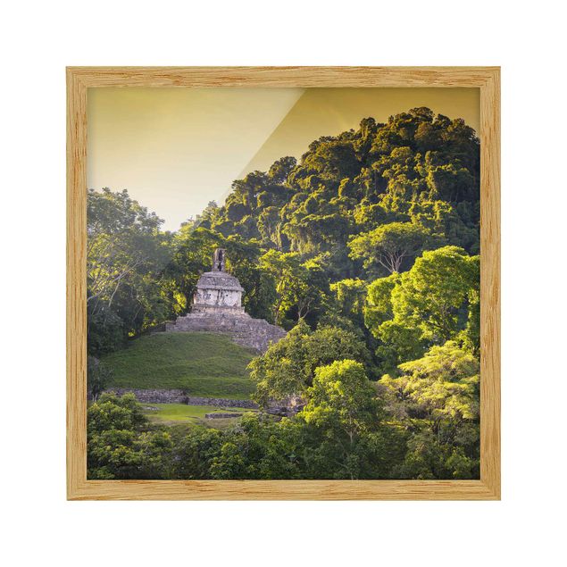 Framed poster - Mayan Ruins