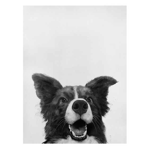 Canvas print - Illustration Dog Border Collie Black And White Painting