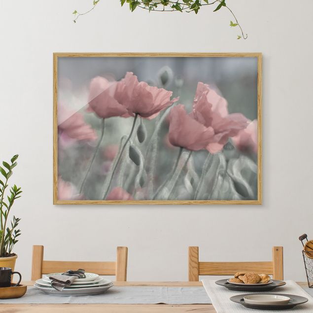 Framed poster - Picturesque Poppy