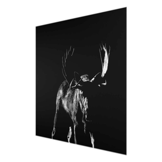 Glass print - Bull In The Dark