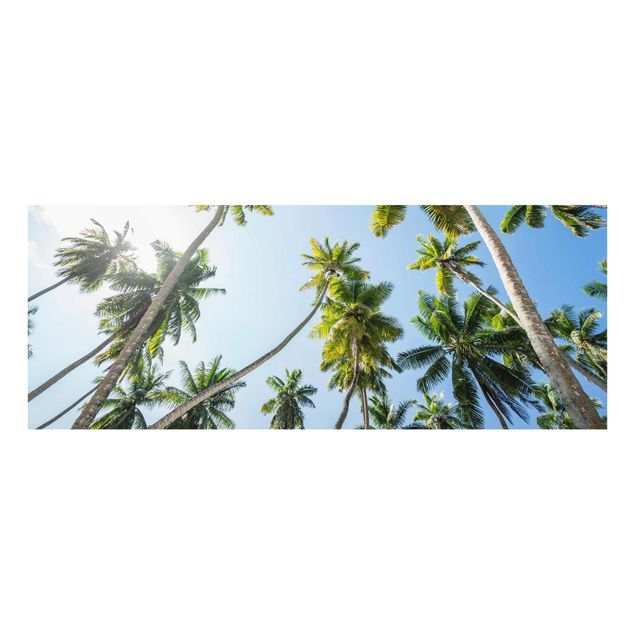 Glass print - Palm Tree Canopy