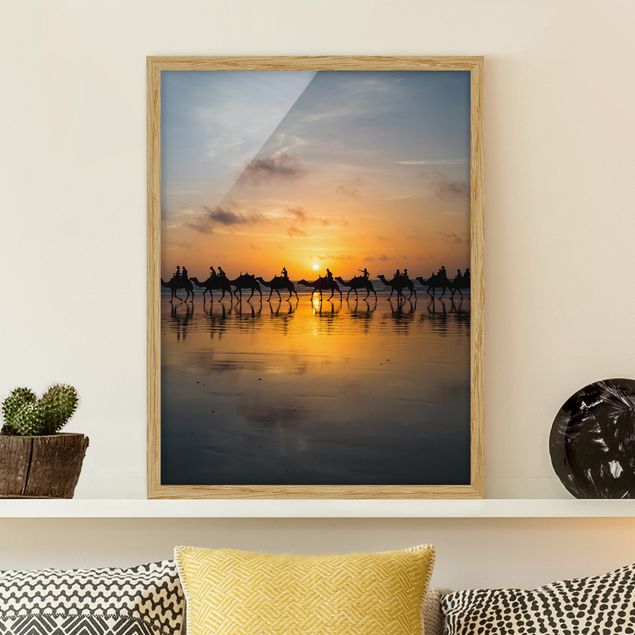 Framed poster - Camels in the sunset