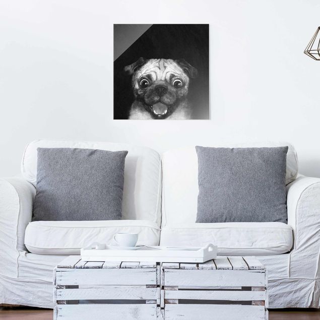 Glas Magnetboard Illustration Dog Pug Painting On Black And White