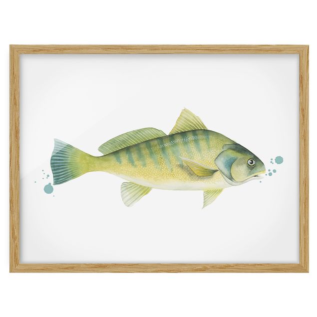 Framed poster - Color Catch - Perch