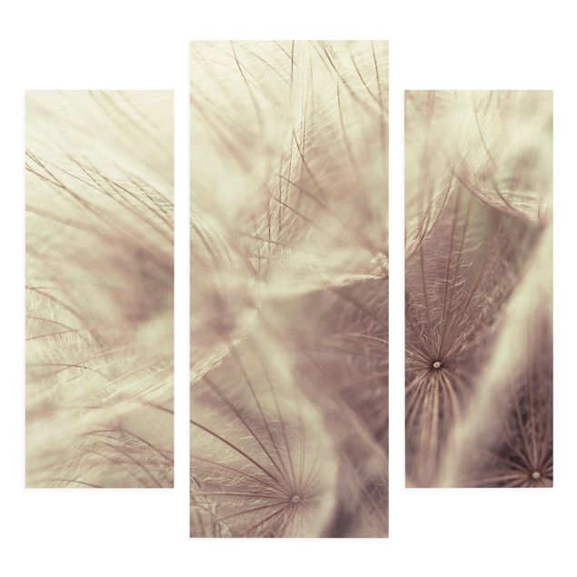 Print on canvas 3 parts - Detailed Dandelion Macro Shot With Vintage Blur Effect