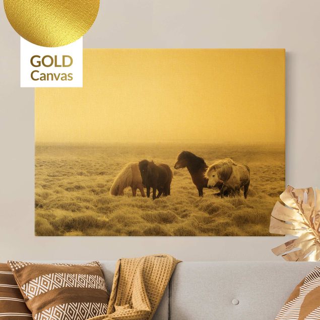 Canvas print gold - Wild Icelandic Horse
