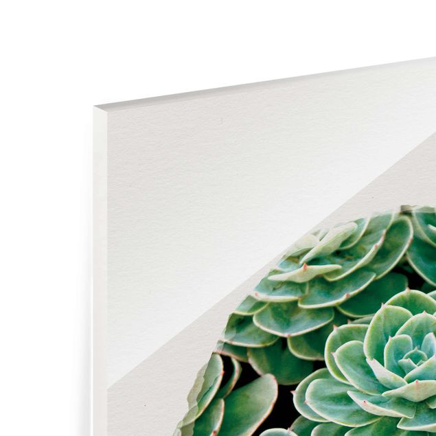 Glass print - Water Colours - Green Succulents