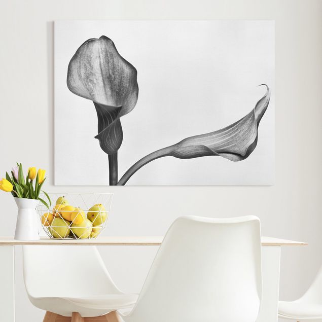 Print on canvas - Calla Close-Up Black And White