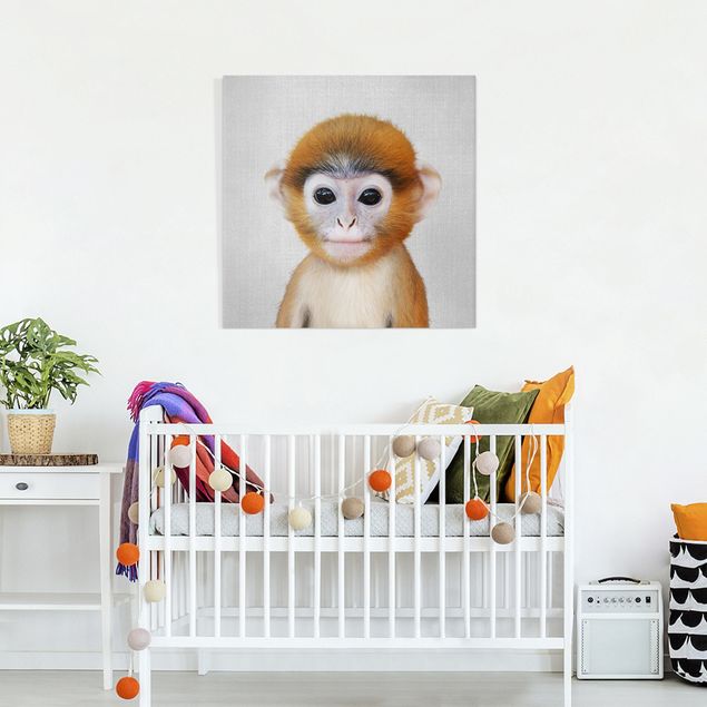 Canvas print - Baby Monkey Anton - Square 1:1