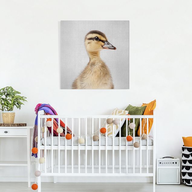 Canvas print - Baby Duck Eddie - Square 1:1