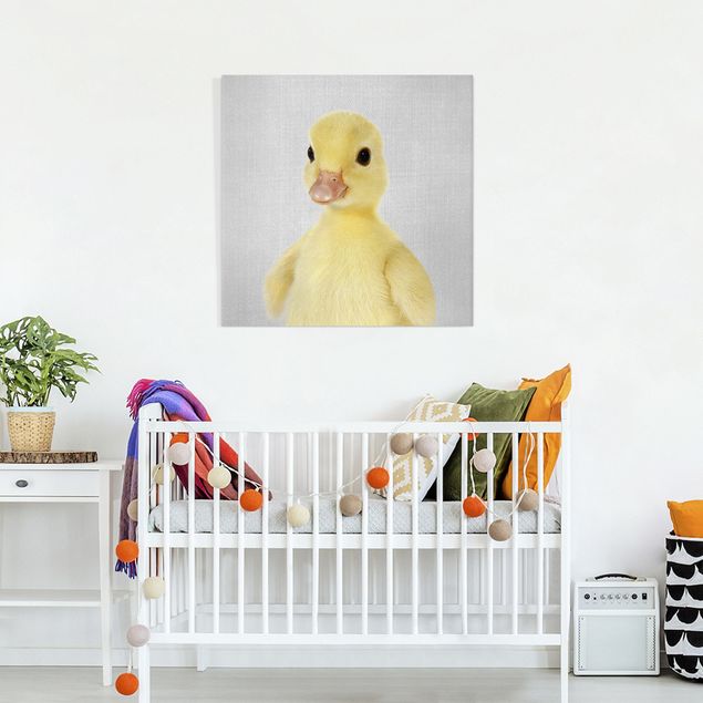 Canvas print - Baby Duck Emma - Square 1:1