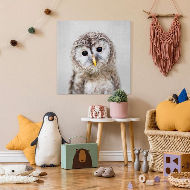 Canvas print - Baby Owl Erika - Square 1:1