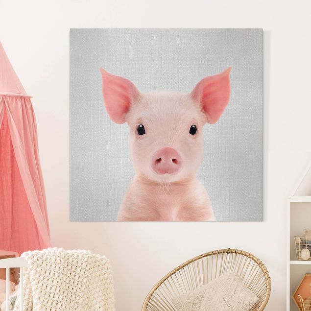 Canvas print - Baby Piglet Fips - Square 1:1