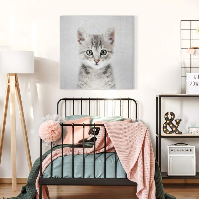 Canvas print - Baby Cat Killi - Square 1:1