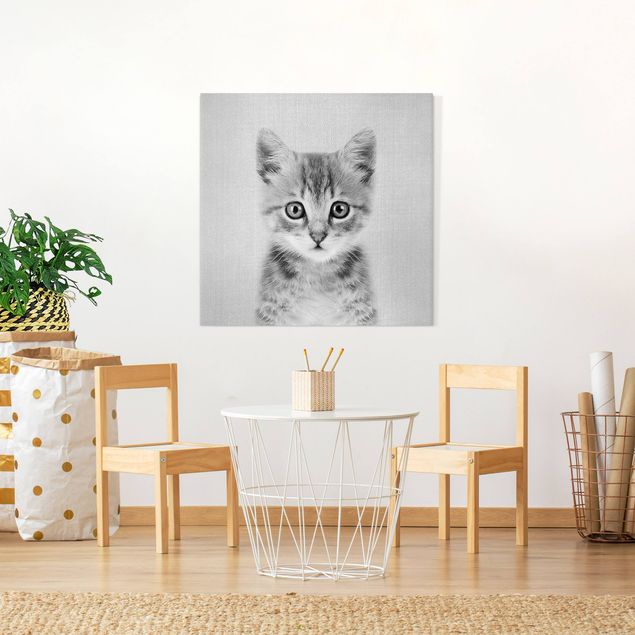 Canvas print - Baby Cat Killi Black And White - Square 1:1