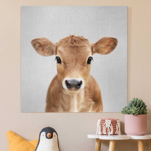 Canvas print - Baby Cow Kira - Square 1:1