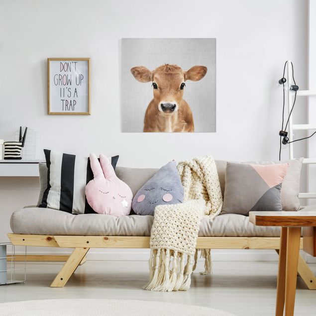 Canvas print - Baby Cow Kira - Square 1:1