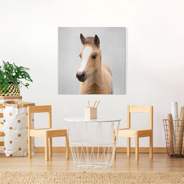 Canvas print - Baby Horse Philipp - Square 1:1