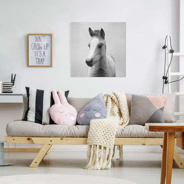 Canvas print - Baby Horse Philipp Black And White - Square 1:1
