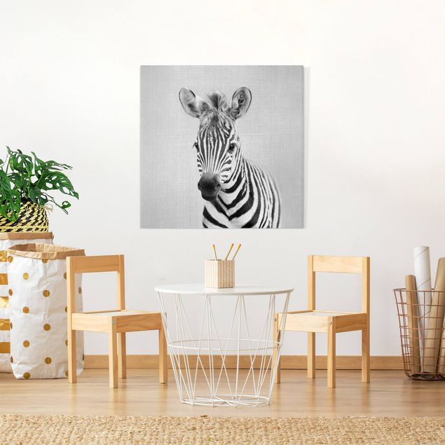 Canvas print - Baby Zebra Zoey Black And White - Square 1:1