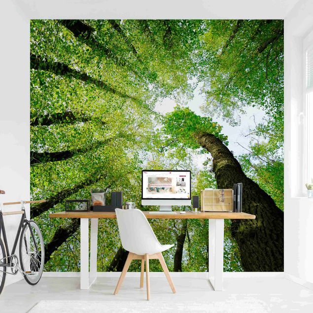 Wallpaper - Trees Of Life