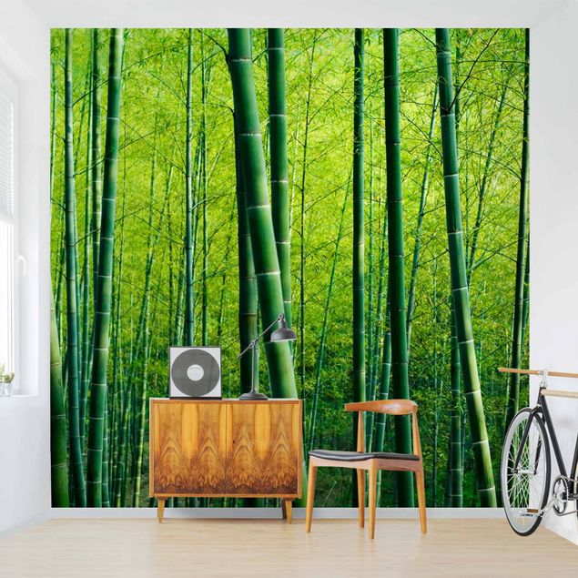 Wallpaper - Bamboo Forest