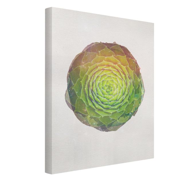 Canvas print - WaterColours - Mandala Succulent