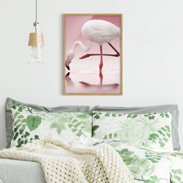 Framed poster - Flamingo Dance