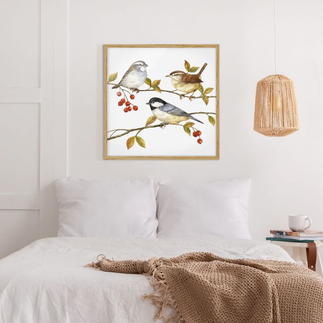 Framed poster - Birds And Berries - Tits
