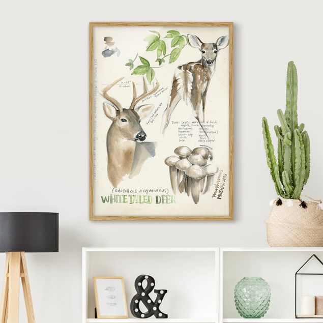Framed poster - Wilderness Journal - Deer