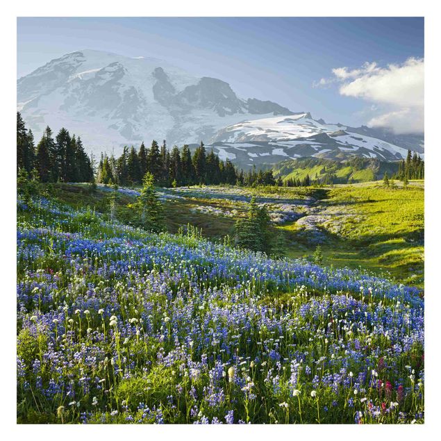 Wallpaper - Mountain Meadow With Blue Flowers in Front of Mt. Rainier