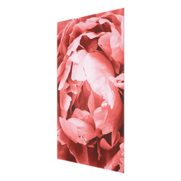 Glass print - Peony Blossom Coral
