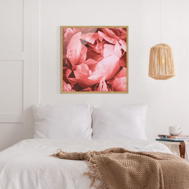 Framed poster - Peony Blossom Coral