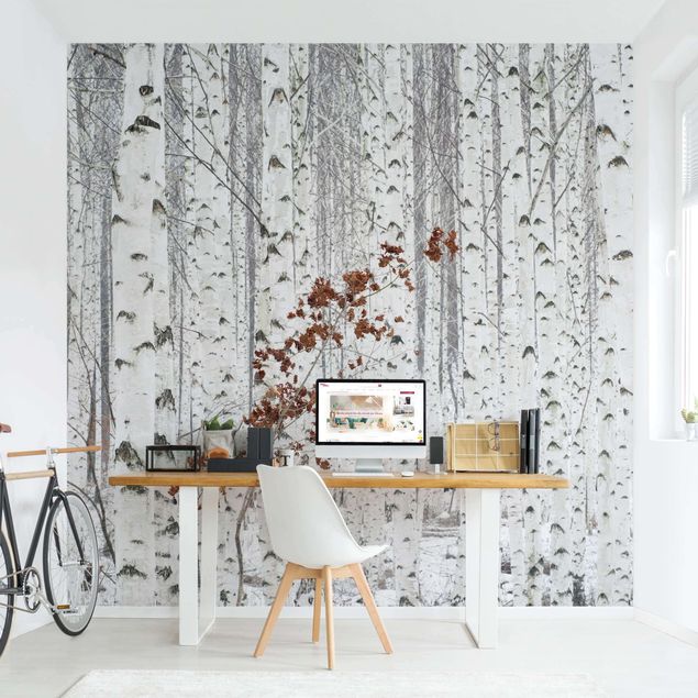 Wallpaper - Birch Trees In Autumn