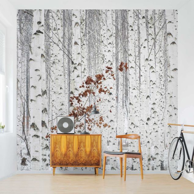 Wallpaper - Birch Trees In Autumn