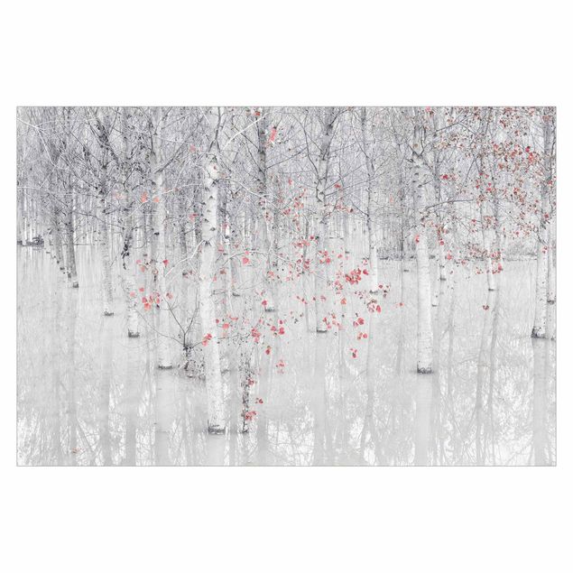 Wallpaper - Birch Tree Forest With Light Pink Leaves