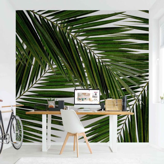 Wallpapers View Through Green Palm Leaves