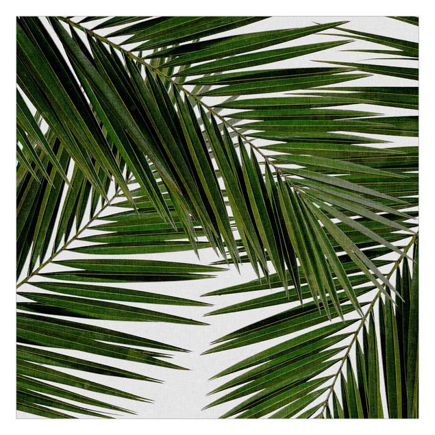 Walpaper - View Through Green Palm Leaves