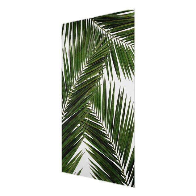 Glass print - View Through Green Palm Leaves