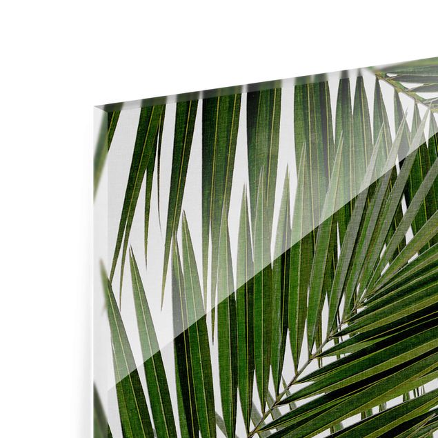 Glass print - View Through Green Palm Leaves