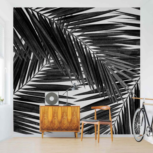 Wallpapers View Through Palm Leaves Black And White