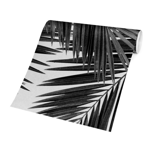 Walpaper - View Through Palm Leaves Black And White