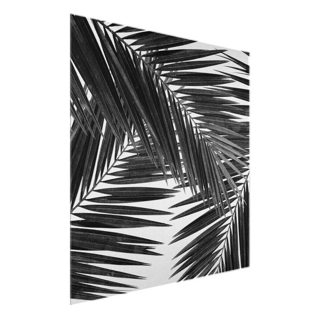 Glass print - View Through Palm Leaves Black And White