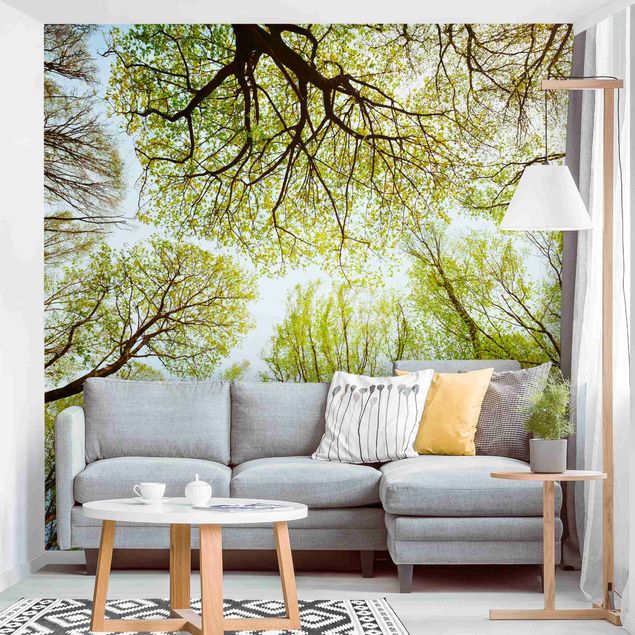 Wallpaper - Glance Upon Treetops