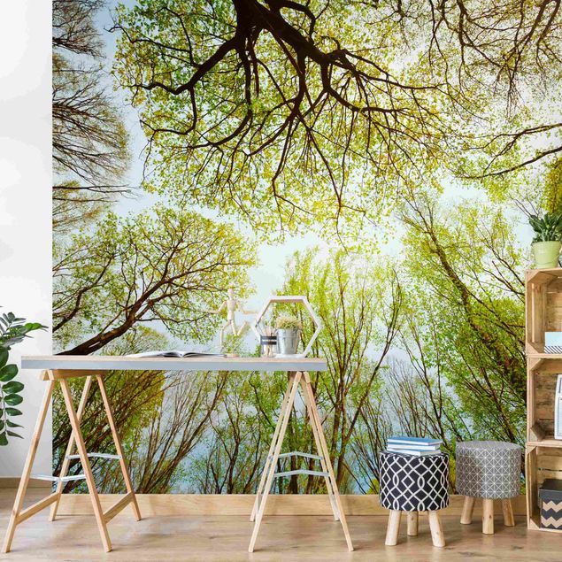 Wallpaper - Glance Upon Treetops
